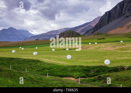 Isländische Landschaft mit weißen Kunststoff verpackte Heuballen auf einem Feld unter düsteren Himmel mit vulkanischen Berg im Hintergrund - rauhe landwirtschaftlichen c Stockfoto