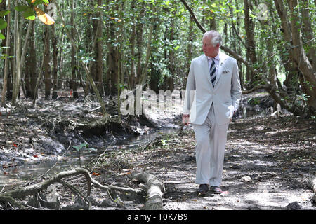 Der Prinz von Wales bei einem Besuch in der Aussicht Brighton Mangrove Park über Erhaltung auf St. Vincent und die Grenadinen zu erfahren. Stockfoto