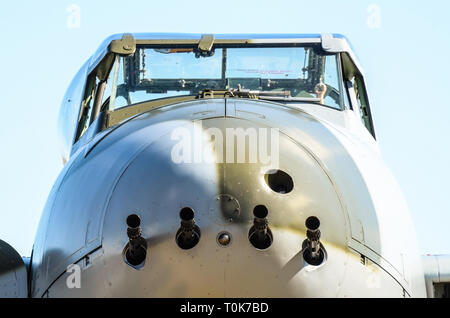 Kanonen auf dem Vorderteil der De Havilland DH 98 Mosquito zweiten Weltkrieg Kampfflugzeug. Kanonen des Kampfflugzeugs. An Haube Flugplatz, Wairarapa, Neuseeland Stockfoto