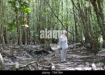 Der Prinz von Wales bei einem Besuch in der Aussicht Brighton Mangrove Park über Erhaltung auf St. Vincent und die Grenadinen zu erfahren. Stockfoto