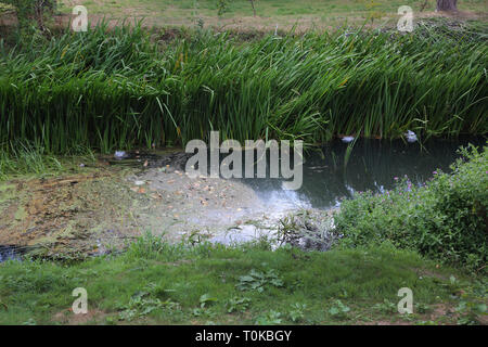 Natürliche Damm von Ablagerungen im Fluss Stour Gillingham Dorset England Stockfoto