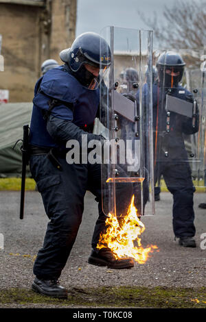 Mitglied der Garda Siochana während einer öffentlichen Bestellung Ausbildung Übung in Gormanston Army Camp, Co Meath, Irland. Stockfoto