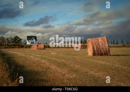 Heuballen auf einem Bauernhof Feld. Stockfoto