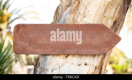 Richtungspfeil unterzeichnen. Leere Holz- Zeiger auf einem Baumstamm, Detailansicht, Platz für Text Stockfoto