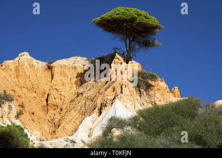 Praia da Falésia (Praia do Barranco das belharucas), Vilamoura, Quarteira, Faro, Algarve, Portugal Stockfoto