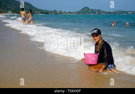 Thai Frau Graben für Muscheln am Strand Lamai Beach, Koh Samui, Golf von Thailand, Thailand Stockfoto