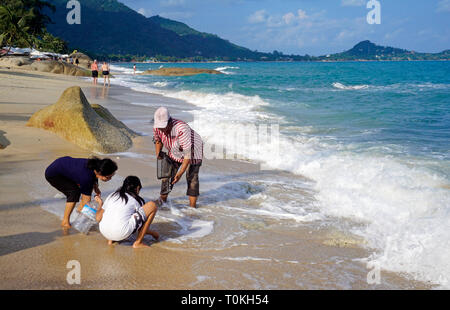 Thailändische Frauen Graben für Muscheln am Strand Lamai Beach, Koh Samui, Golf von Thailand, Thailand Stockfoto