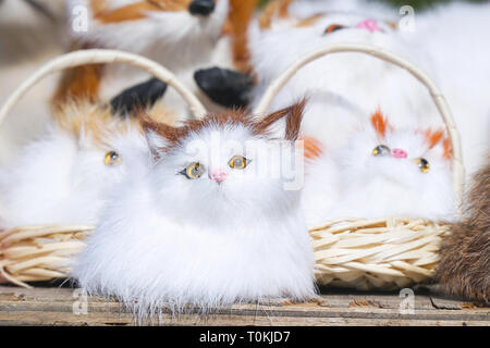 Weiches Spielzeug Kätzchen vor der Kamera sitzen Stockfoto