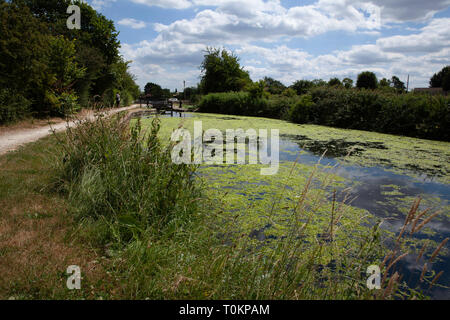 73171 Canal an Turnerwood Schlössern. Stockfoto