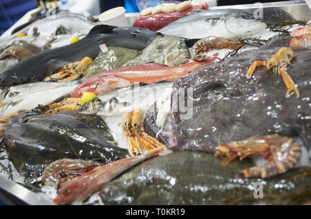 Große Vielfalt an Fischen und Meeresfrüchten auf fischmarkt Eis Anzeige Stockfoto