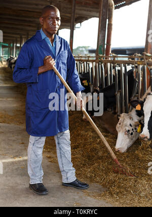 Portrait der afroamerikanischen männlichen Arbeitnehmer in blauem Gewand arbeiten an Molkerei Stockfoto