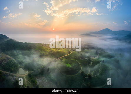 Luftaufnahme von Lange Coc Kaffee Hügel, grüne Landschaft Hintergrund, grüne Blätter. Tan Son, Phu Tho, Vietnam Stockfoto