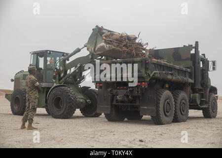 Us-Marines mit 7. Techniker Bataillon, 1. Marine Logistics Group und Studenten die Assault Amphibian Schule unterstützen Marine Corps Community Services im Clearing der Del Mar Strand von Müll und Schutt in Camp Pendleton, Kalifornien, USA, 19. März 2019. Das Ziel der MCCS ist bedeutend, dauerhafte Beiträge zu Freizeit Programme und Bereiche, um das Wohlergehen der Marines und militärische Familien zu gewährleisten. (U.S. Marine Corps Foto von Cpl. Roderick Jacquote) Stockfoto