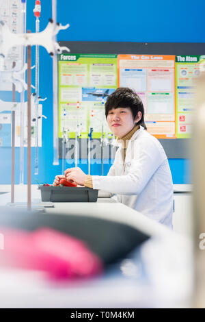 Eine junge Übersee internationale asiatische Studenten in der Wissenschaft Labor durchgeführt, ein Experiment. Stockfoto