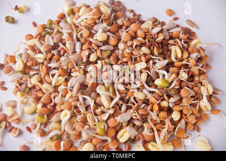 Rohes gekeimtes Getreide Keim für gesundes Essen auf einem weißen Tisch Stockfoto