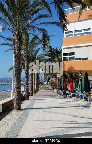 Blick entlang der Palmen gesäumten Promenade mit dem Meer und Strand auf der linken Seite, Lagos, Provinz Malaga, Andalusien, Spanien, Europa. Stockfoto