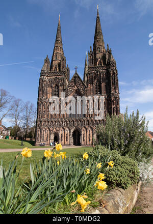 Kathedrale von Lichfield mit Narzissen im Vordergrund abgebildet auf der erste Tag des Frühlings Stockfoto