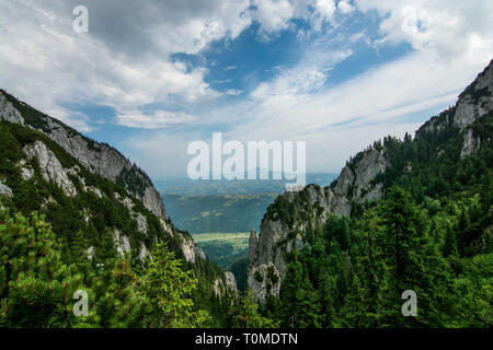 Epische Berglandschaft mit blauem Himmel und Kiefern von oben geschossen. Schönes Wetter Voraussetzung für eine Outdoor trekking Abenteuer Stockfoto