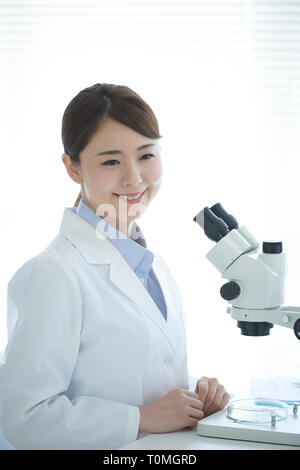 Junge japanische Forscher im Labor Stockfoto