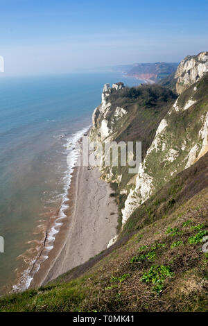 Malerischer Blick auf Jurassic Coast Kreidefelsen und Strand, Bier, East Devon Coast, England Stockfoto