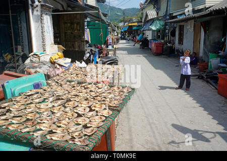 Roher Fisch, entkernt und halbiert, ist das Trocknen auf einem Gitter in der Sonne, Fischerdorf Hua Thanon, Koh Samui, Golf von Thailand, Thailand Stockfoto