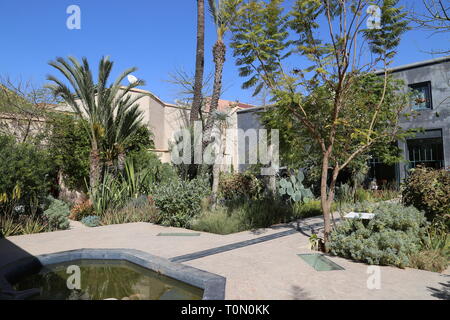 Exotische Garten, der geheime Garten, Rue Mouassine, Medina, Marrakesch, Marrakesh-Safi region, Marokko, Nordafrika Stockfoto