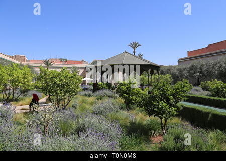 Islamische Garten, der geheime Garten, Rue Mouassine, Medina, Marrakesch, Marrakesh-Safi region, Marokko, Nordafrika Stockfoto