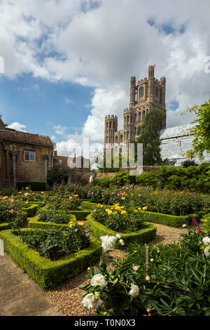 Die Kathedrale von Ely, Cambridgeshire, Großbritannien Stockfoto