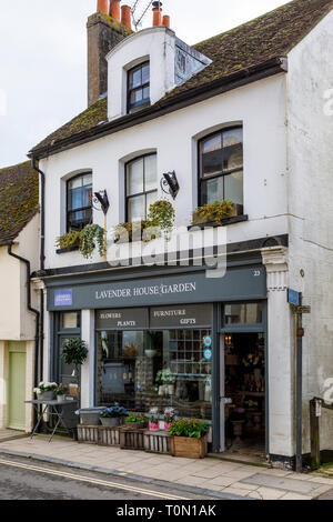 Lavender Haus Garten, Blumen und Geschenke Store auf Tarrant Street, West Sussex, UK. Stockfoto