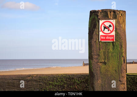 Eine keine Hunde auf einem wellenbrecher auf einer North Norfolk Strand in Bacton-on-Sea, Norfolk, England, Vereinigtes Königreich, Europa. Stockfoto