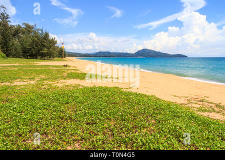 Ipomoea pes-caprae, auch bekannt als bayhops, Beach morning glory oder der Ziege Fuß auf Mai Khao Beach, Phuket, Thailand Stockfoto