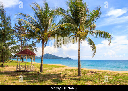 Ipomoea pes-caprae, auch bekannt als bayhops, Beach morning glory oder der Ziege Fuß auf Mai Khao Beach, Phuket, Thailand Stockfoto