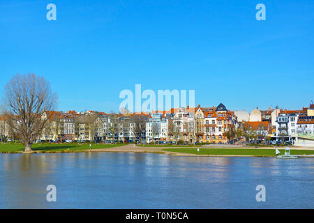 Blick über unteren Neckar Bank in Heidelberg, Deutschland mit grossen Wiese namens "Neckarwiese" als beliebter Treffpunkt für Menschen Stockfoto