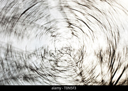 Europa, England, Wald von Dean. Blattlosen winter baum Abstract von unten mit wirbelnden Wirkung. Stockfoto