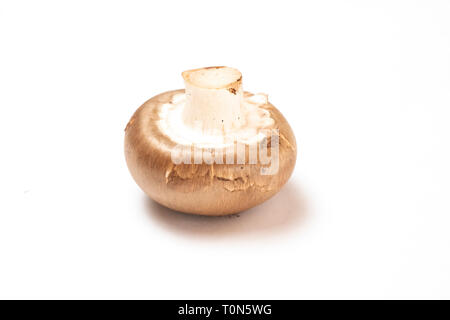 Pilze auf einem schlichten weißen Tisch Stockfoto