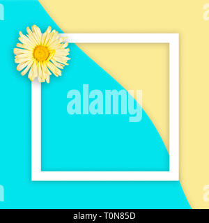 Gelbe daisy auf abstrakten Meer und Sand Hintergrund mit weißen flachen Rahmen Platz. Flach Stockfoto