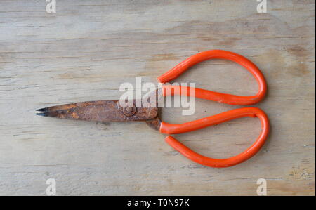 Alten rostigen Schere mit rotem Griff aus Kunststoff auf Holz- Board Stockfoto