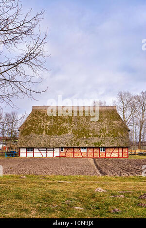 Traditionelle Fachwerkhaus mit Reetdach. Bauernhaus in Mecklenburg-Vorpommern. Deutschland Stockfoto