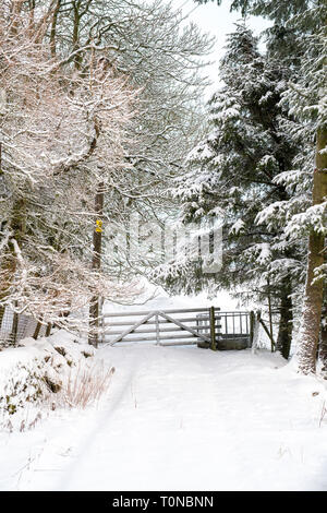 Schnee auf Hof und Feld in das Dorf von leadhills am frühen Morgen Schnee. Scotlands zweite höchste Dorf. South Lanarkshire, Schottland Stockfoto