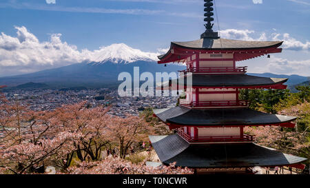 Explosion der Farben während der Kirschblüte in Japan gegen den Berg Fuji fallenden Schnee an einem sonnigen Tag und blauer Himmel Stockfoto