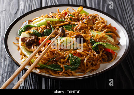 Leckere gebratene Nudeln mit Baby Bok Choy, Shiitake-Pilze, Sesamöl und Pfeffer close-up auf einem Teller auf den Tisch. Horizontale Stockfoto