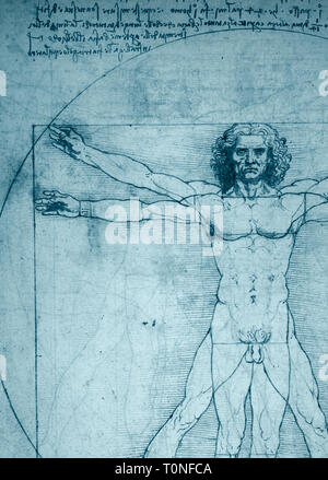 Detail Der Vitruvianische Mensch Zeichnung von Leonardo da Vinci Stockfoto