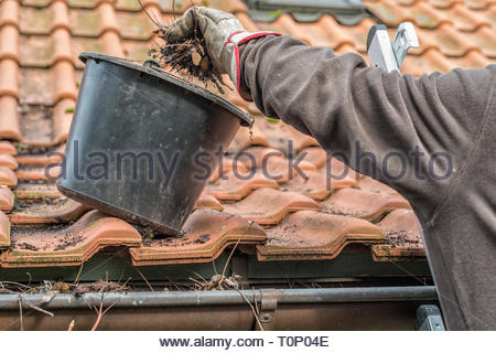 Mann auf einer Leiter Reinigung Haus Dachrinnen Stockfoto