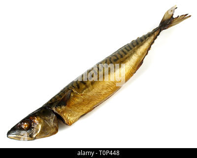 Makerel - geräucherter Fisch auf weißem Hintergrund Stockfoto