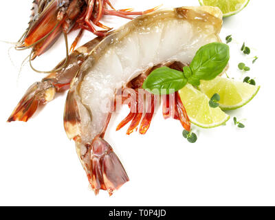 King Prawn-Tiger Garnelen auf weißem Hintergrund Stockfoto