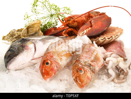 Meeresfrüchte und Fisch auf weißem Hintergrund Stockfoto