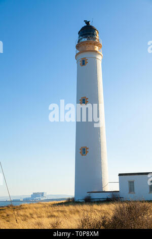 Scheunen Ness Leuchtturm in der Nähe von Dunbar Schottland. Stockfoto