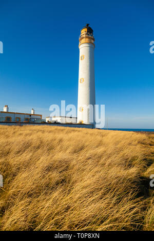 Scheunen Ness Leuchtturm in der Nähe von Dunbar Schottland. Stockfoto