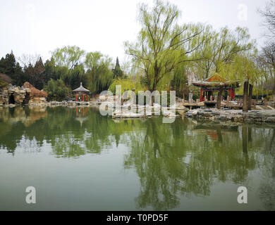 (190321) - Peking, 21. März 2019 (Xinhua) - Foto mit einem Mobiltelefon zeigt den Frühling Landschaft bei Ritan Park in Peking, der Hauptstadt von China, 19. März 2019. (Xinhua / Meng Chenguang) Stockfoto