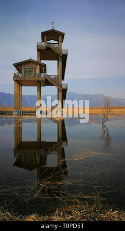 (190321) - Peking, 21. März 2019 (Xinhua) - Foto mit einem Mobiltelefon zeigt den Frühling Landschaft in Peking Wild Duck Lake National Wetland Park in Peking, der Hauptstadt von China, 17. März 2019. (Xinhua / Meng Chenguang) Stockfoto